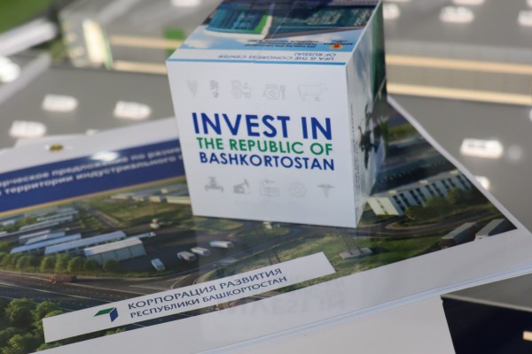 Потенциальным инвесторам предложили создать в Башкортостане завод по производству отопительных котлов